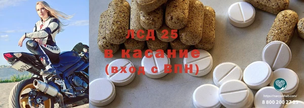 прущие грибы Абинск