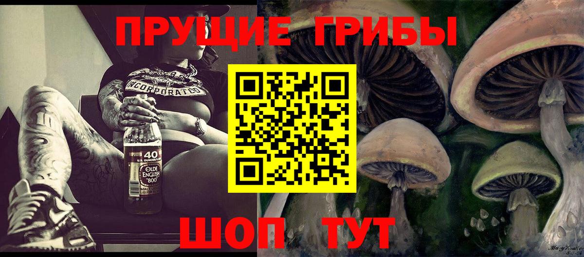 Челябинск  Галлюциногенные грибы ЛСД  закладка  Псилоцибиновые грибы MAGIC MUSHROOMS  Вход с VPN 